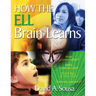 How the Ell Brain Learns