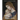 The Passion of the Infant Christ