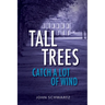Tall Trees Catch a Lot of Wind