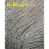 Cabinet 66