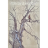 Little Bird Woman