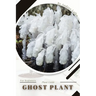 Ghost Plant: Plant Guide