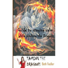 Taming The Dragons: Guide to staying calm while pitching the Dragons
