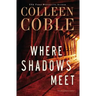 Where Shadows Meet: A Romantic Suspense Novel