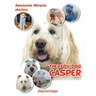 Awesome Miracle Stories: Therapy Dog Casper