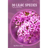 30 Lilac species: Make the right choice