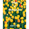 Tulips of Holland, MI