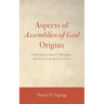 Aspects of Assemblies of God Origins: Exploring Narratives, Theologies, and Issues from the Early Years