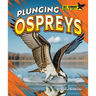 Plunging Ospreys