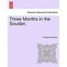 Three Months in the Soudan.