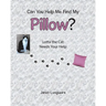 Can You Help Me Find My Pillow?: Lotta the Cat Needs Your Help