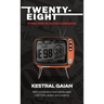 Twenty-Eight: Stories from the Section 28 Generation