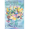 What Wonders Await Outdoors