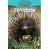 Echidnas