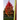 The Red Leaves of Autumn