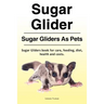 Sugar Glider. Sugar Gliders As Pets. Sugar Gliders book for care, feeding, diet, health and costs.
