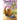Dragon Gems: Spring 2023
