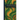 The Edge of the Sea