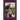 Animal Reiki Tails Volume 2