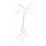 WellSpringEternal