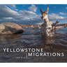 Yellowstone Migrations