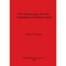 The Paleoecology of Lower Magdalenian Cantabrian Spain