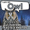 I am an Owl: A Children's Book with Fun and Educational Animal Facts with Real Photos!