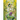 Guardians of Dawn: Ami