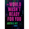 The World Wasn't Ready for You: Stories