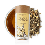 Gentle Stomach by Open Door Tea CT