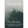 Storm: A thriller unfolds in the remote Marlborough Sounds