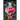 The Elixir