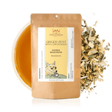 Ginger Zest with Lemongrass by Open Door Tea CT