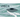 Orca Chief