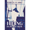 Hiding in Plain View