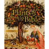 Plants of the Bible