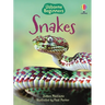 Snakes (Usborne Beginners)