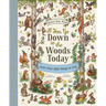 If You Go Down to the Woods Today: A Search and Find Adventure