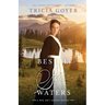 Beside Still Waters: A Big Sky Novel