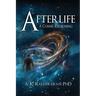 Afterlife: A Cosmic Reckoning