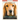 Dog Eldercare: Caring for Your Middle Aged to Older Dog (Large Print): Dog Care for the Older Canine