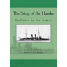The Sting of the Hawke: Collision in the Solent