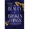 The Beauty of Broken Things