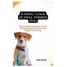 Jack Russell Terrier Dog: The Complete Handbook on How To Raising and Caring For Jack Russell Terrier Dog