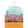 Little Adventures in Yemen: Absolutely (Un)True stories from Sana'a