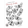 Stunning Moths: Colorize the moths