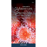 A Field Guide to Marine Life of the Protected Waters of the Salish Sea