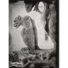 Tomas Van Houtryve: 36 Views of Notre Dame
