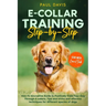 E-collar Training Step-by-Step: How-To Innovative Guide to Positively Train Your Dog Through E-collars. Tips and tricks and effective techniques for d