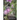 Shadows